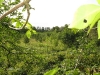 aktivspielplatz-kaltenmoor_8