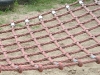 DSCF0055